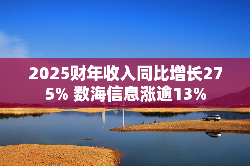 2025财年收入同比增长275% 数海信息涨逾13%