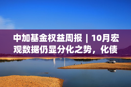 中加基金权益周报︱10月宏观数据仍显分化之势，化债地方债供给即将起量