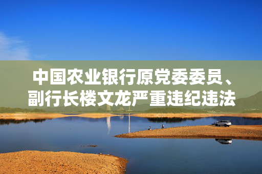 中国农业银行原党委委员、副行长楼文龙严重违纪违法被开除党籍