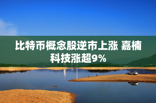 比特币概念股逆市上涨 嘉楠科技涨超9%