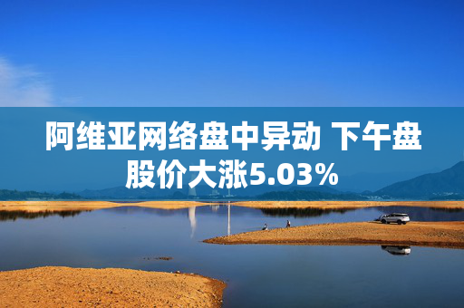 阿维亚网络盘中异动 下午盘股价大涨5.03%