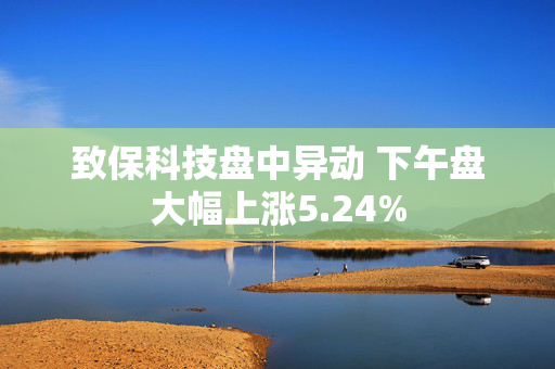 致保科技盘中异动 下午盘大幅上涨5.24%