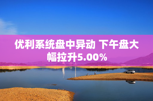 优利系统盘中异动 下午盘大幅拉升5.00%