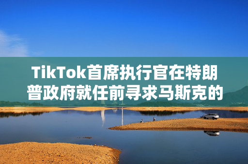 TikTok首席执行官在特朗普政府就任前寻求马斯克的意见