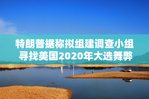 特朗普据称拟组建调查小组 寻找美国2020年大选舞弊证据