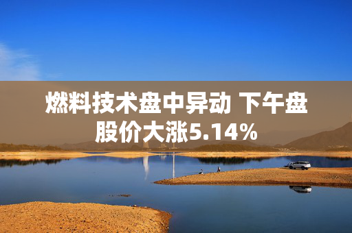 燃料技术盘中异动 下午盘股价大涨5.14%