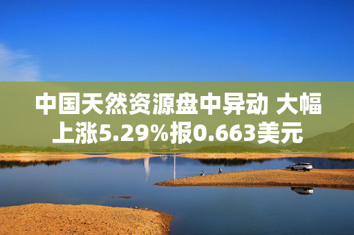 中国天然资源盘中异动 大幅上涨5.29%报0.663美元