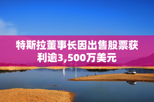 特斯拉董事长因出售股票获利逾3,500万美元