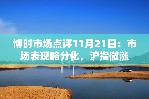 博时市场点评11月21日：市场表现略分化，沪指微涨