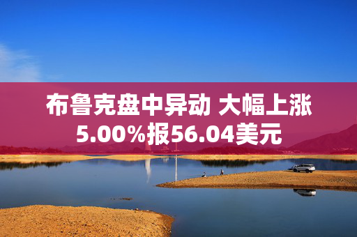 布鲁克盘中异动 大幅上涨5.00%报56.04美元