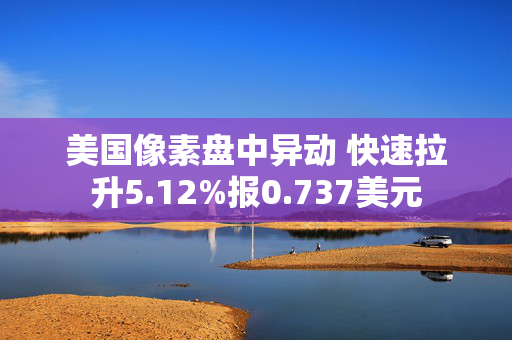 美国像素盘中异动 快速拉升5.12%报0.737美元