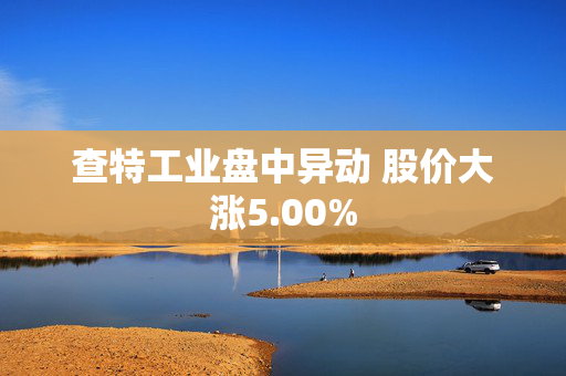 查特工业盘中异动 股价大涨5.00%