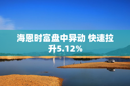 海恩时富盘中异动 快速拉升5.12%