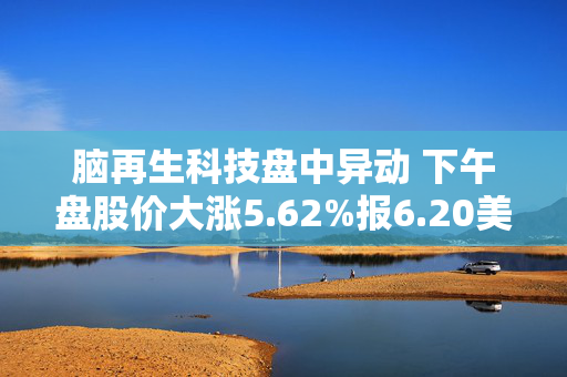 脑再生科技盘中异动 下午盘股价大涨5.62%报6.20美元