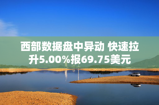 西部数据盘中异动 快速拉升5.00%报69.75美元