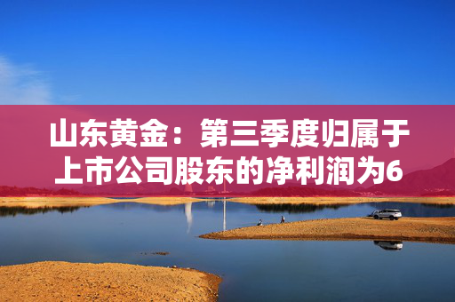 山东黄金：第三季度归属于上市公司股东的净利润为6.83亿元，同比增长46.62%