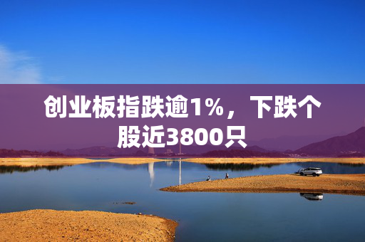 创业板指跌逾1%，下跌个股近3800只