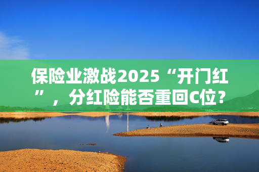 保险业激战2025“开门红”，分红险能否重回C位？