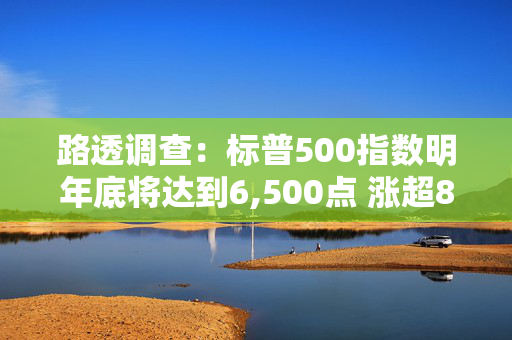 路透调查：标普500指数明年底将达到6,500点 涨超8%