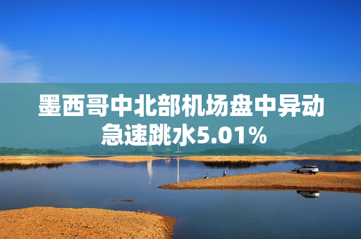 墨西哥中北部机场盘中异动 急速跳水5.01%