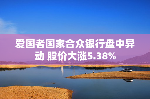 爱国者国家合众银行盘中异动 股价大涨5.38%