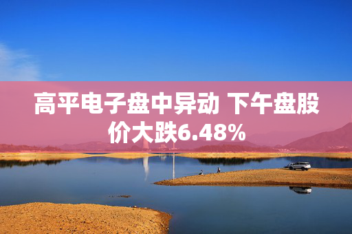 高平电子盘中异动 下午盘股价大跌6.48%