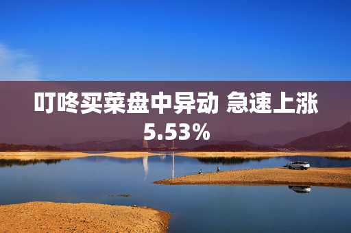 叮咚买菜盘中异动 急速上涨5.53%