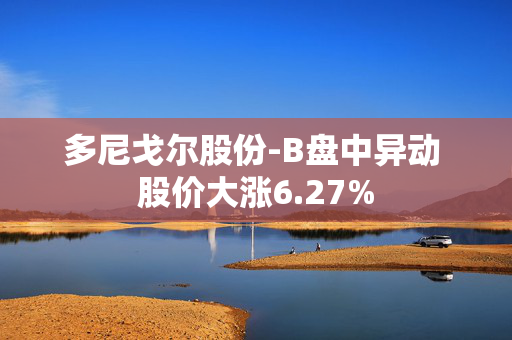 多尼戈尔股份-B盘中异动 股价大涨6.27%