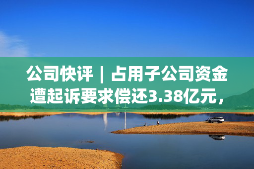 公司快评︱占用子公司资金遭起诉要求偿还3.38亿元，恒天海龙如何应对信誉风险？