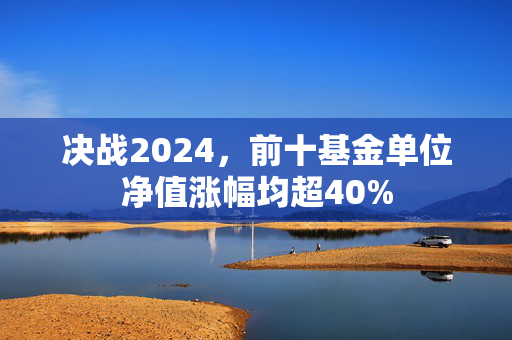 决战2024，前十基金单位净值涨幅均超40%