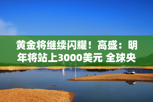 黄金将继续闪耀！高盛：明年将站上3000美元 全球央妈是“主要推手”