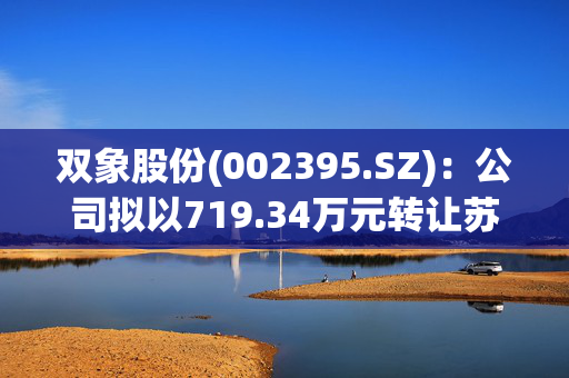 双象股份(002395.SZ)：公司拟以719.34万元转让苏州华申100%股权