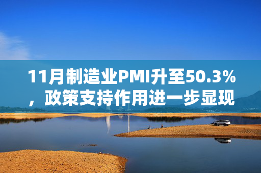 11月制造业PMI升至50.3%，政策支持作用进一步显现