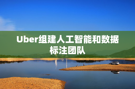 Uber组建人工智能和数据标注团队