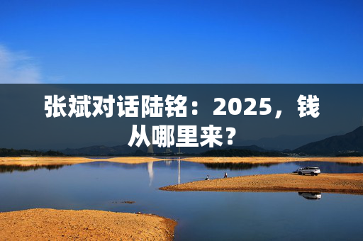 张斌对话陆铭：2025，钱从哪里来？