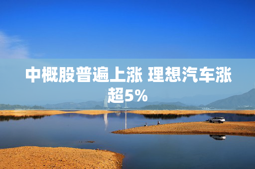 中概股普遍上涨 理想汽车涨超5%