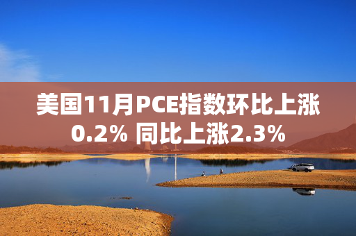 美国11月PCE指数环比上涨0.2% 同比上涨2.3%