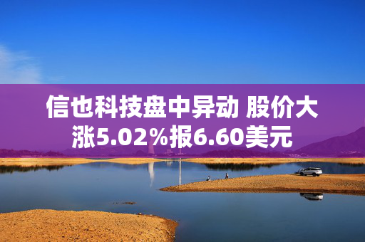 信也科技盘中异动 股价大涨5.02%报6.60美元