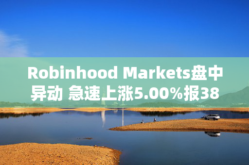 Robinhood Markets盘中异动 急速上涨5.00%报38.24美元