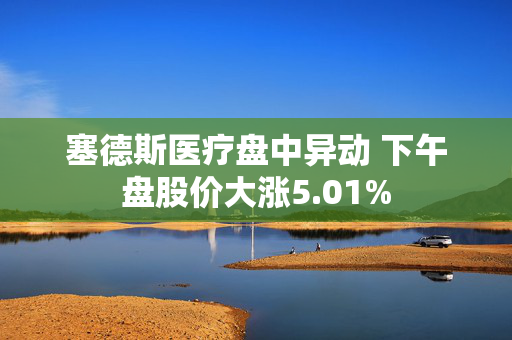 塞德斯医疗盘中异动 下午盘股价大涨5.01%