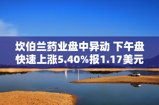 坎伯兰药业盘中异动 下午盘快速上涨5.40%报1.17美元