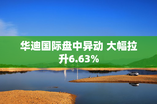 华迪国际盘中异动 大幅拉升6.63%