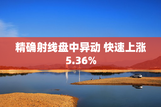 精确射线盘中异动 快速上涨5.36%