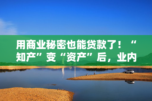 用商业秘密也能贷款了！“知产”变“资产”后，业内关注后续质物处置方式