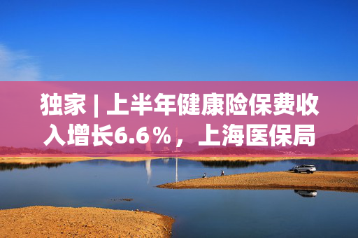 独家 | 上半年健康险保费收入增长6.6％，上海医保局：全流程支持商业健康保险发展