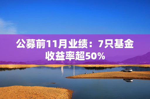 公募前11月业绩：7只基金收益率超50%