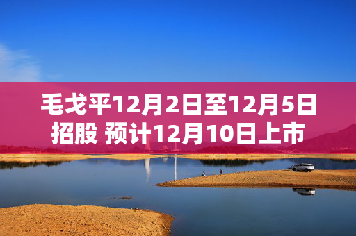 毛戈平12月2日至12月5日招股 预计12月10日上市