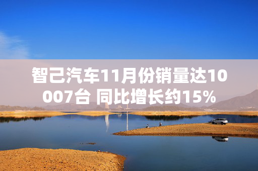 智己汽车11月份销量达10007台 同比增长约15%