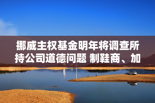 挪威主权基金明年将调查所持公司道德问题 制鞋商、加密公司、博彩运营商或面临撤资