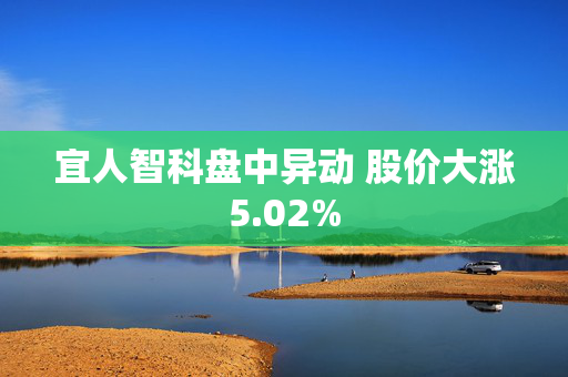 宜人智科盘中异动 股价大涨5.02%